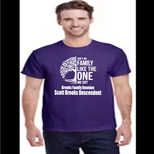 Ain't No Family Like the One I Got, Brooks Family Reunion Shirt