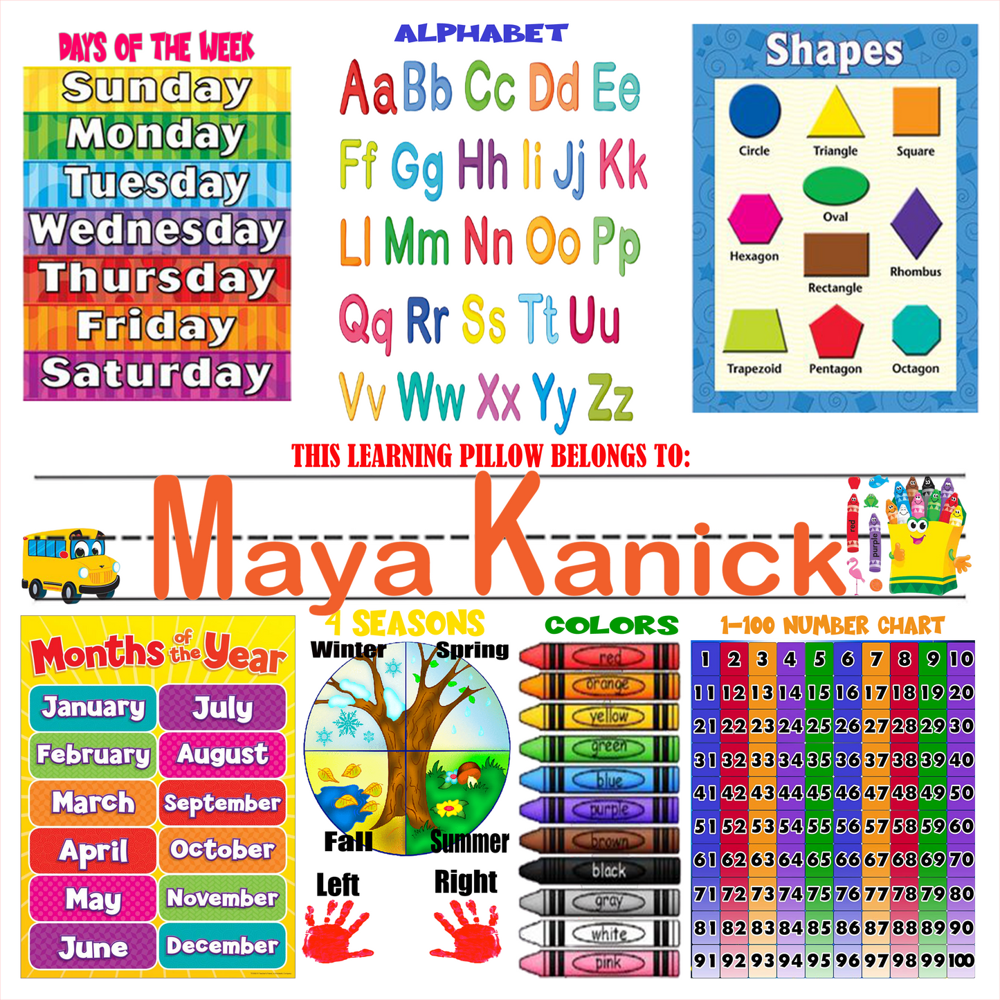 Personalized Learning/Education 16"X16" Pillow